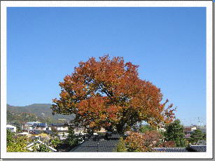 �������̂��₫